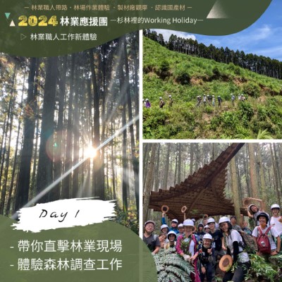 「杉林裡的Working Holiday」活動帶你直擊林業現場(林業保育署新竹分署提供)
